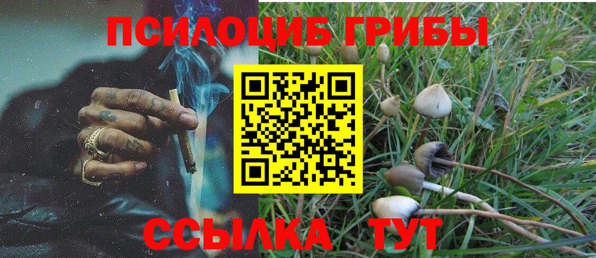 Артём  Галлюциногенные грибы ЛСД  Вход с VPN 